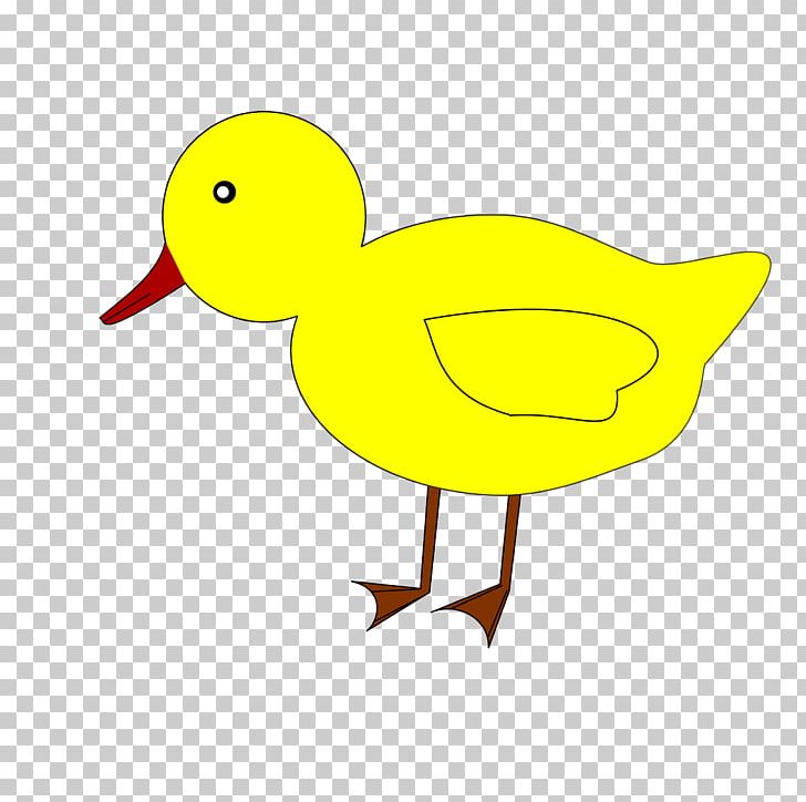 Duck Water Bird PNG, Clipart, Anatidae, Animal, Animals, Artwork, Beak Free PNG Download