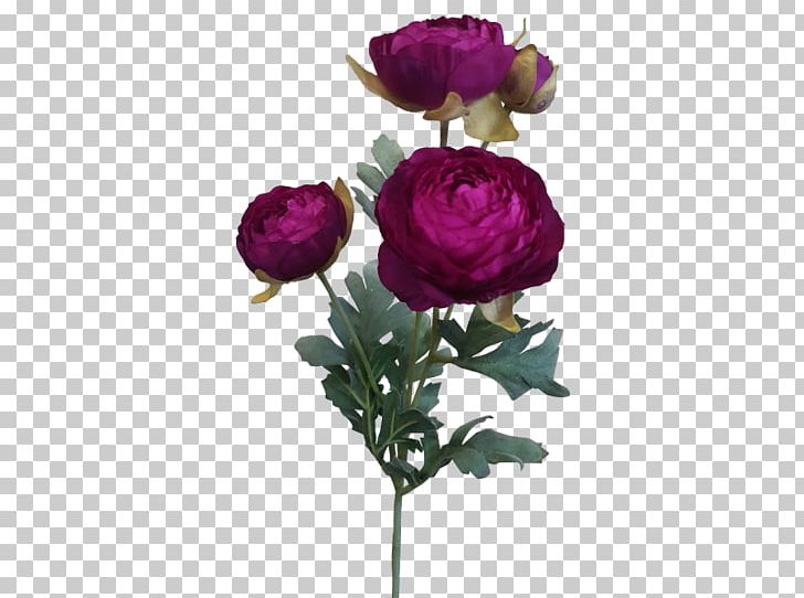 Garden Roses Cabbage Rose Cut Flowers Floral Design PNG, Clipart, Artificial Flower, Buttercup Flower, Cut Flowers, Floral Design, Flower Free PNG Download
