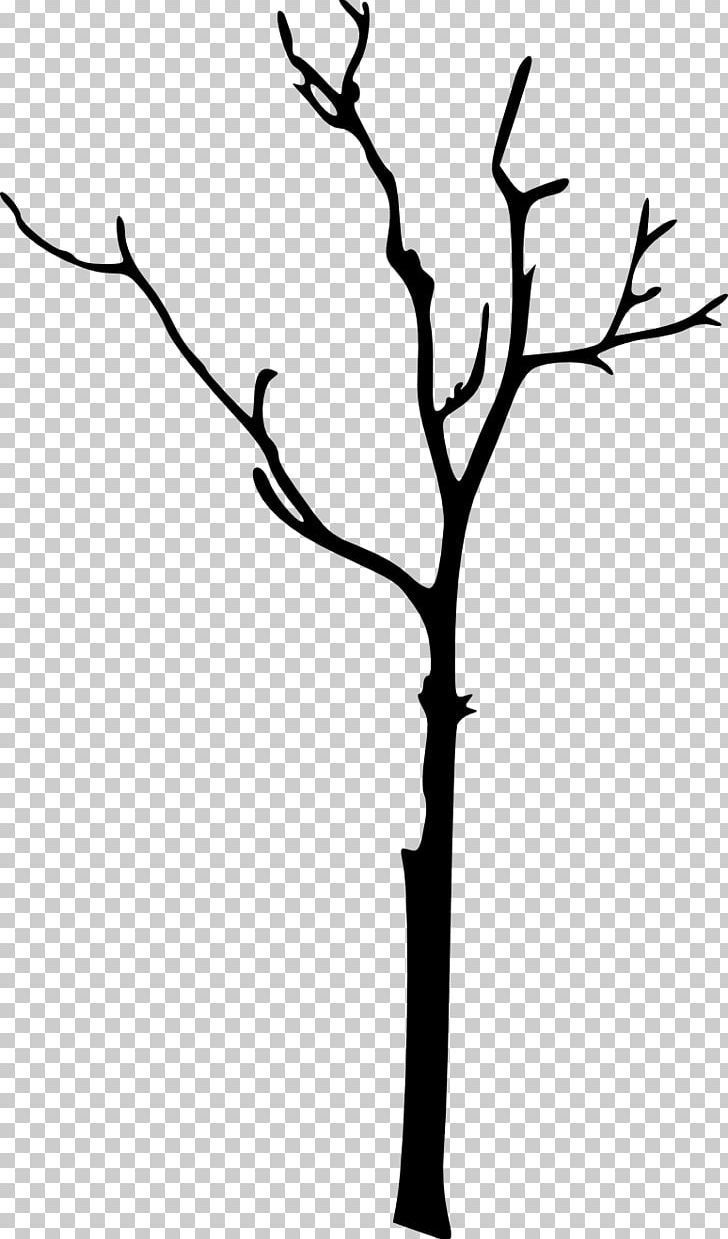 Silhouette Twig PNG, Clipart, Animals, Artwork, Bare, Black And White, Branch Free PNG Download