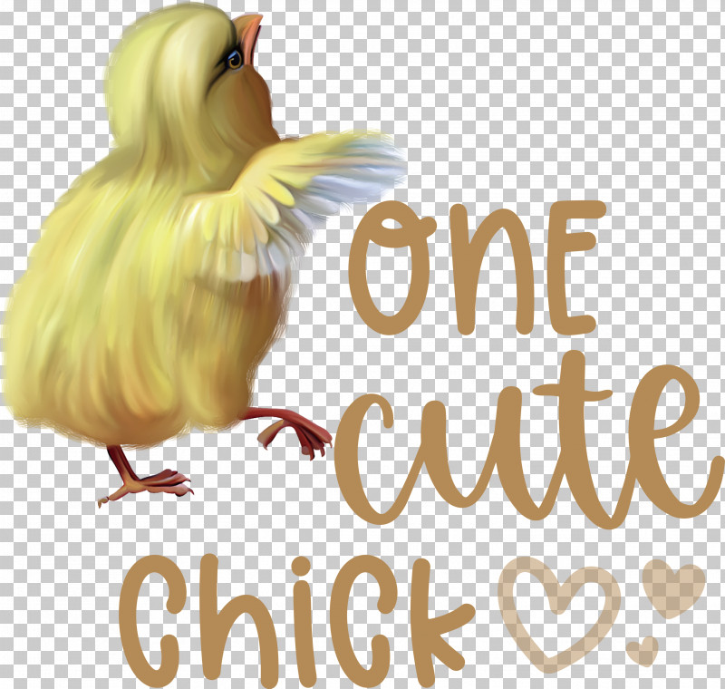 One Cute Chick Easter Day Happy Easter PNG, Clipart, Beak, Biology, Bird Of Prey, Birds, Chicken Free PNG Download