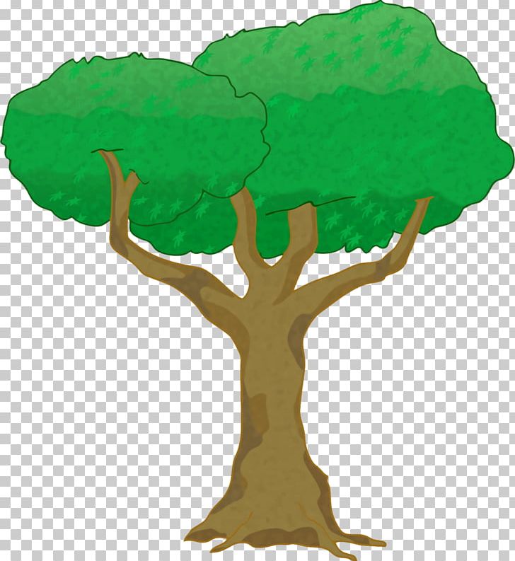 Tree Woody Plant Branch PNG, Clipart, Advertising, Bonsai, Branch, Coreldraw, Description Free PNG Download