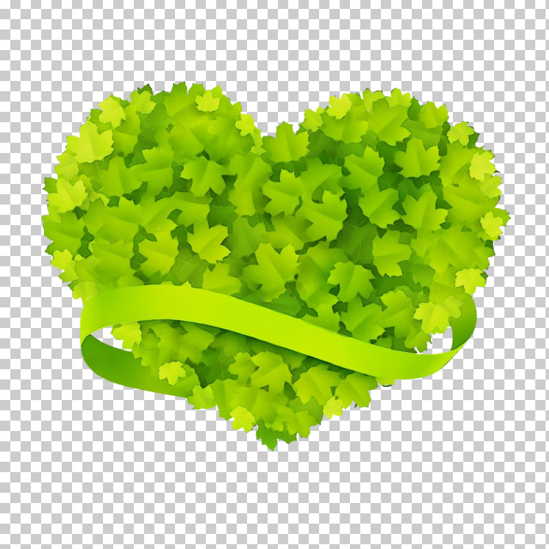 Green Leaf Leaf Vegetable Plant Grass PNG, Clipart, Flower, Grass, Green, Heart, Leaf Free PNG Download