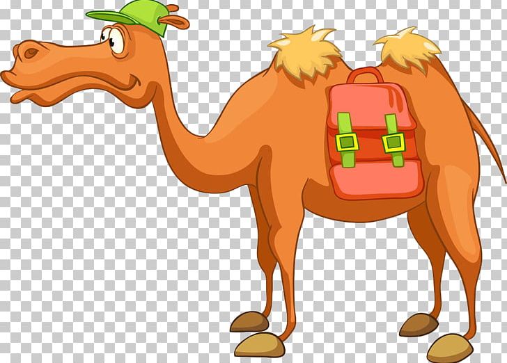 Bactrian Camel Dromedary Cartoon PNG, Clipart, Animal, Animals, Arabian Camel, Back, Back On The Mountain Free PNG Download