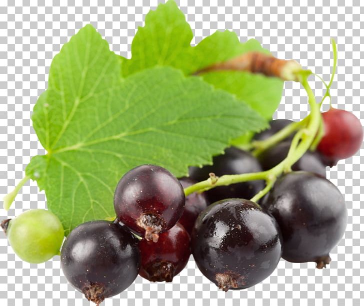 Electronic Cigarette Aerosol And Liquid Berry Blackcurrant Juice PNG, Clipart, Anthocyanin, Bilberry, Blackcurrant, Blueberry, Currant Free PNG Download