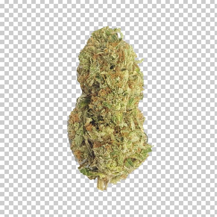 Gorilla Glue 4 Kush Cannabis Tetrahydrocannabinol PNG, Clipart, Camouflage, Cannabis, Cannabis Sativa, Euphoria, Glue Free PNG Download