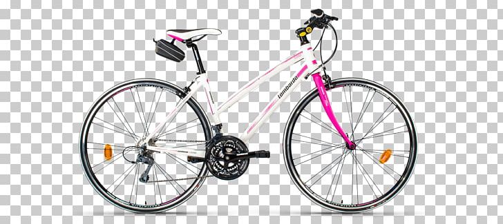Racing Bicycle Specialized Dolce Bicycle Frames Specialized Bicycle Components PNG, Clipart, Bicycle, Bicycle, Bicycle Frame, Bicycle Frames, Cannondale Bicycle Corporation Free PNG Download