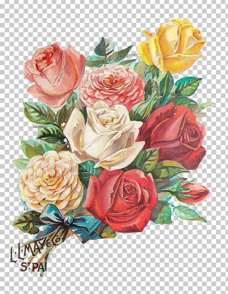 Rose Flower Illustration PNG, Clipart, Artificial Flower, Business Card, Cards, Color Smoke, Color Splash Free PNG Download