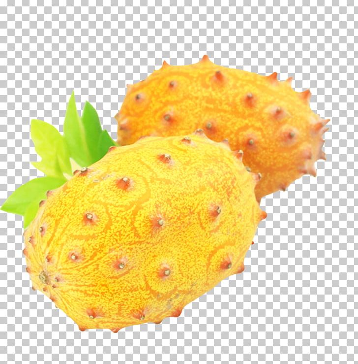 Horned Melon Cucumber Fruit PNG, Clipart, Africa Honeydew, Auglis, Food, Fruit, Fruit Nut Free PNG Download