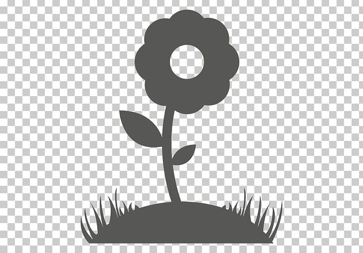 Plant Drawing PNG, Clipart, Black And White, Circle, Color, Common Sunflower, Drawing Free PNG Download