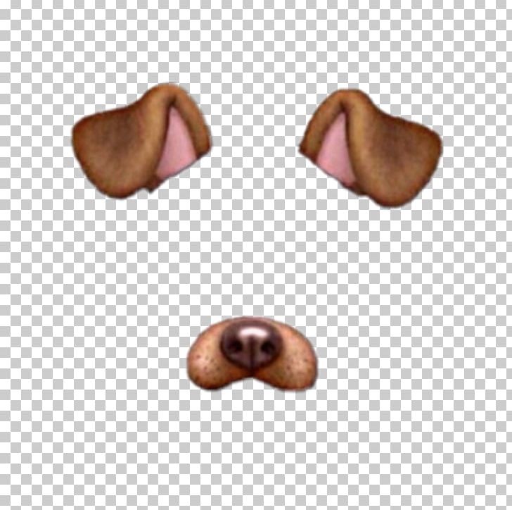 Puppy Snapchat Dalmatian Dog Dancing Hot Dog PNG, Clipart, Animals, Dalmatian Dog, Dancing Hot Dog, Dog, Dog Dancing Free PNG Download