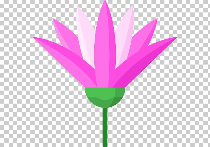 Tulip Petal Plant Stem Leaf PNG, Clipart, Clip Art, Flora, Flower, Flowering Plant, Flowers Free PNG Download