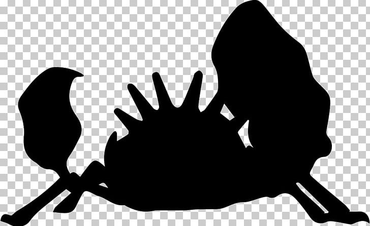 Ash Ketchum Pokémon FireRed And LeafGreen Pokémon XD: Gale Of Darkness Silhouette Pikachu PNG, Clipart, Animals, Ash Ketchum, Beak, Black, Black And White Free PNG Download