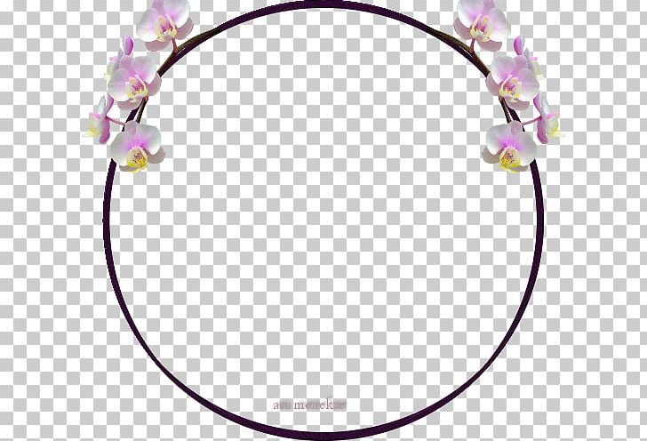 Body Jewellery Color Headgear Vaccine PNG, Clipart, Body Jewellery, Body Jewelry, Circle, Clothing Accessories, Color Free PNG Download