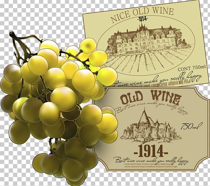 Common Grape Vine Wine Grape Leaves PNG, Clipart, Black Grapes, Download, Encapsulated Postscript, Euclidean Vector, Flat Design Free PNG Download