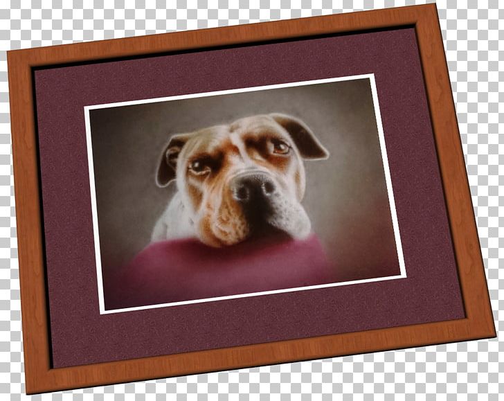 Dog Breed Puppy Snout Frames PNG, Clipart, Animals, Breed, Carnivoran, Crossbreed, Dog Free PNG Download