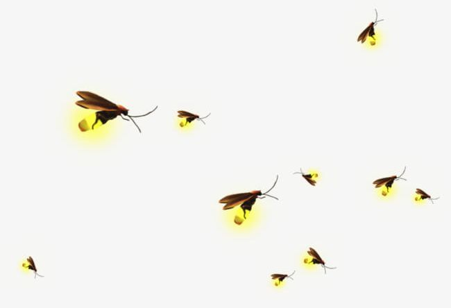 Firefly Background Material PNG, Clipart, Background, Decoration, Firefly, Firefly Clipart, Light Free PNG Download