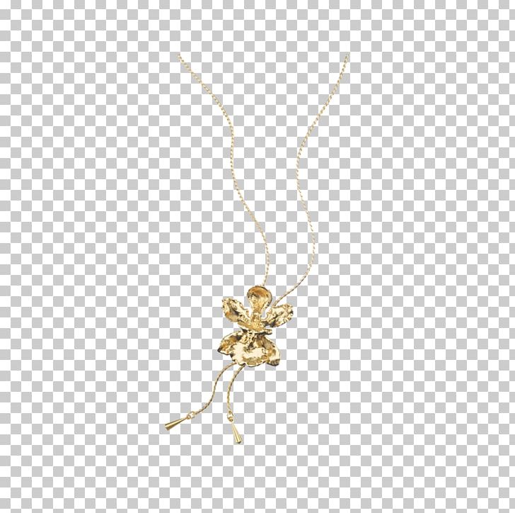 Necklace Charms & Pendants Body Jewellery Jewelry Design PNG, Clipart, Body Jewellery, Body Jewelry, Charms Pendants, Fashion, Fashion Accessory Free PNG Download