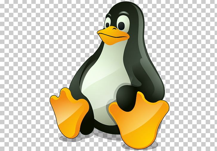 Tux Racer Linux Computer Icons Computer Software PNG, Clipart, Beak, Bird, Command, Computer Icons, Computer Software Free PNG Download