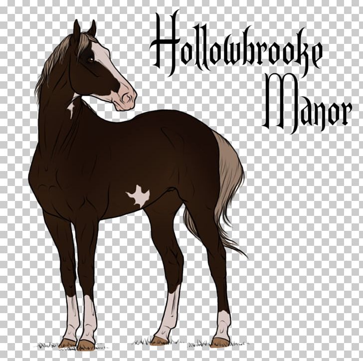 Mustang Stallion Pony Foal Mare PNG, Clipart, American Quarter Horse, Appaloosa, Arabian Horse, Colt, Eggo Free PNG Download