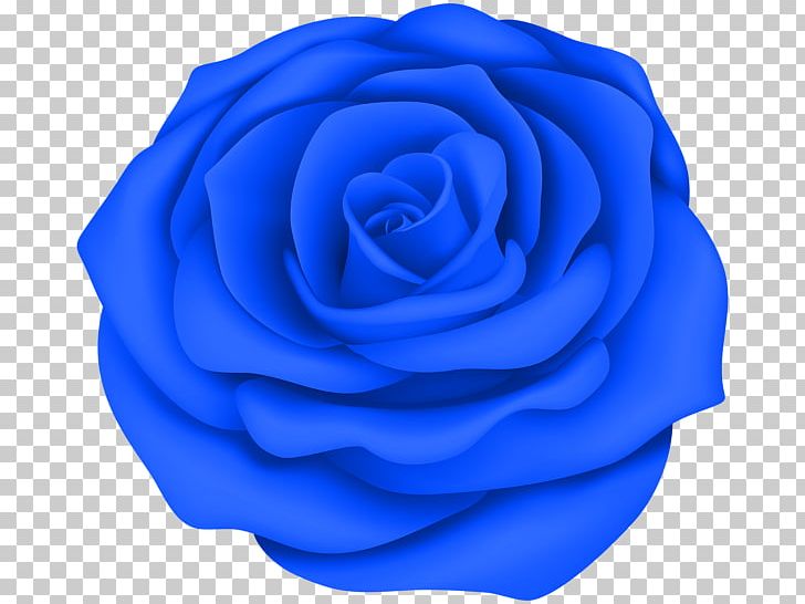 Blue Rose Desktop PNG, Clipart, Art, Art Museum, Azure, Blue, Blue Rose Free PNG Download