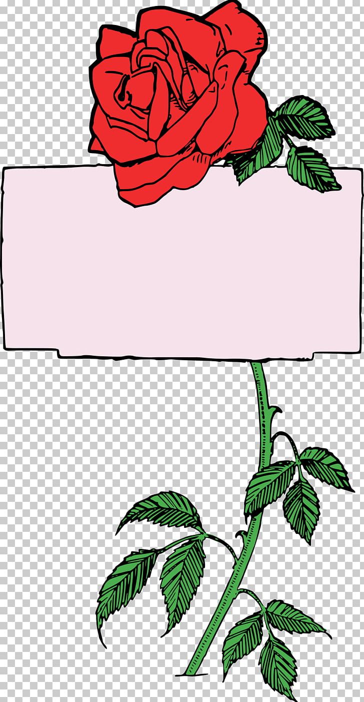 Garden Roses Borders And Frames Open Floral Design PNG, Clipart, Art, Artwork, Borders And Frames, Branch, Cut Flowers Free PNG Download