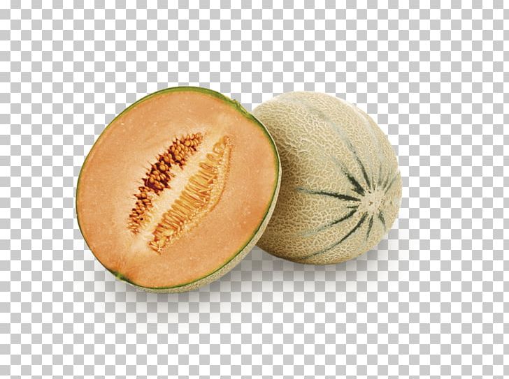 Honeydew Cantaloupe Galia Melon IStock PNG, Clipart, Cantaloupe, Cucumber Gourd And Melon Family, Cucumis, Fruit, Galia Free PNG Download