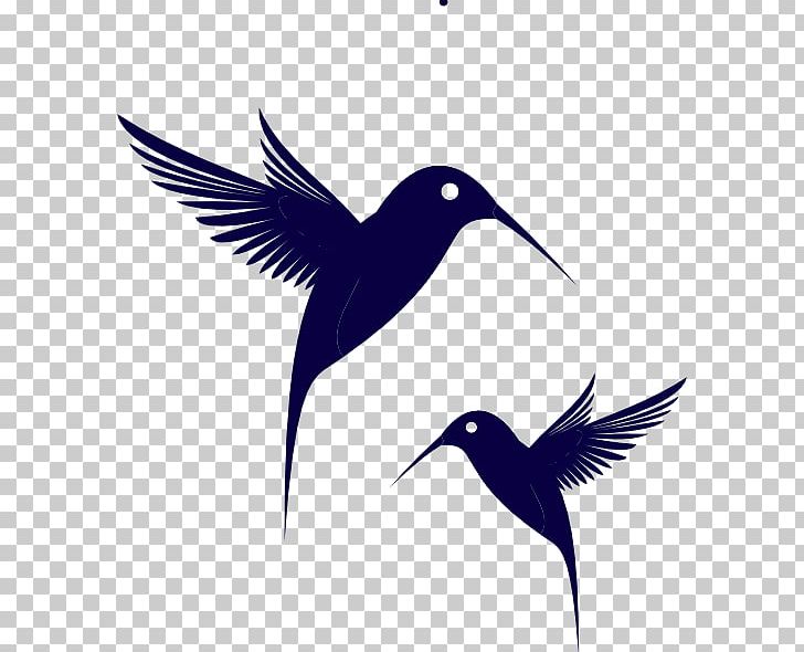 Hummingbird PNG, Clipart, Animals, Beak, Bird, Bird Flight, Black Free PNG Download