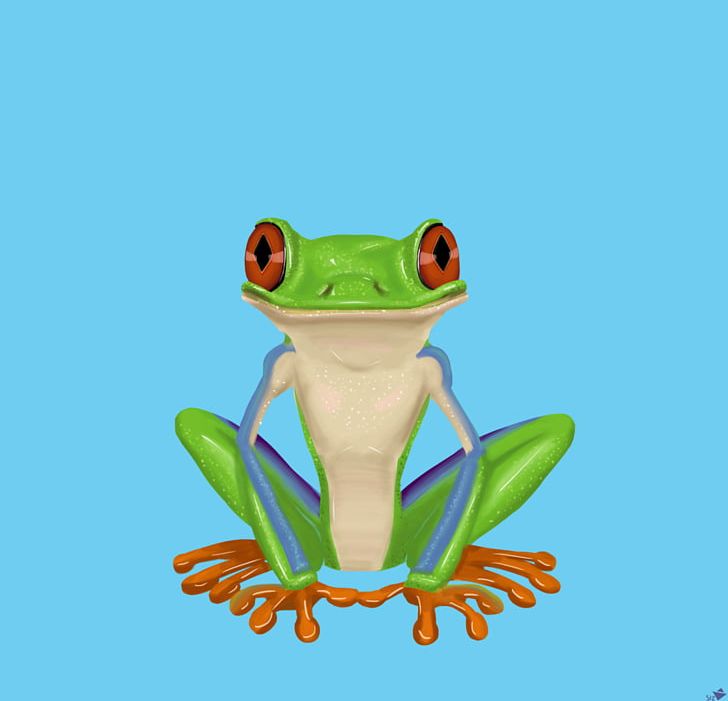 Red-eyed Tree Frog The Tree Frog Drawing PNG, Clipart, Agalychnis, Amphibian, Animal, Animals, Art Free PNG Download
