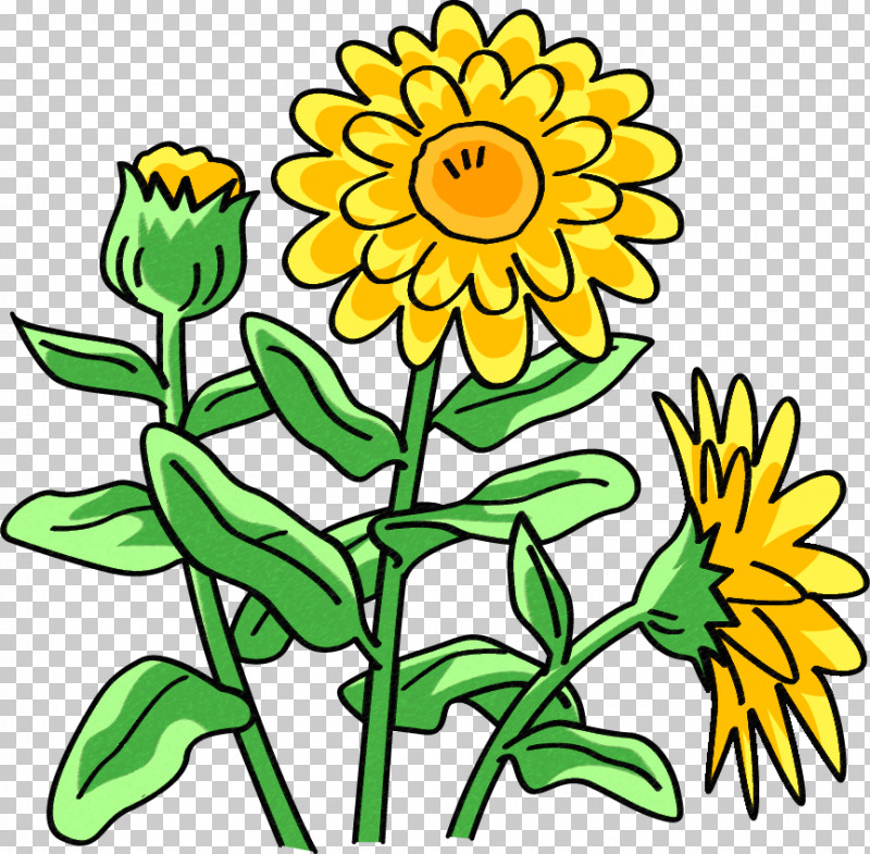 Dandelion PNG, Clipart, Common Sunflower, Cut Flowers, Dandelion, Floral Design, Flower Free PNG Download