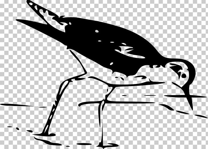 Bird PNG, Clipart, Animals, Art, Artwork, Beak, Bird Free PNG Download