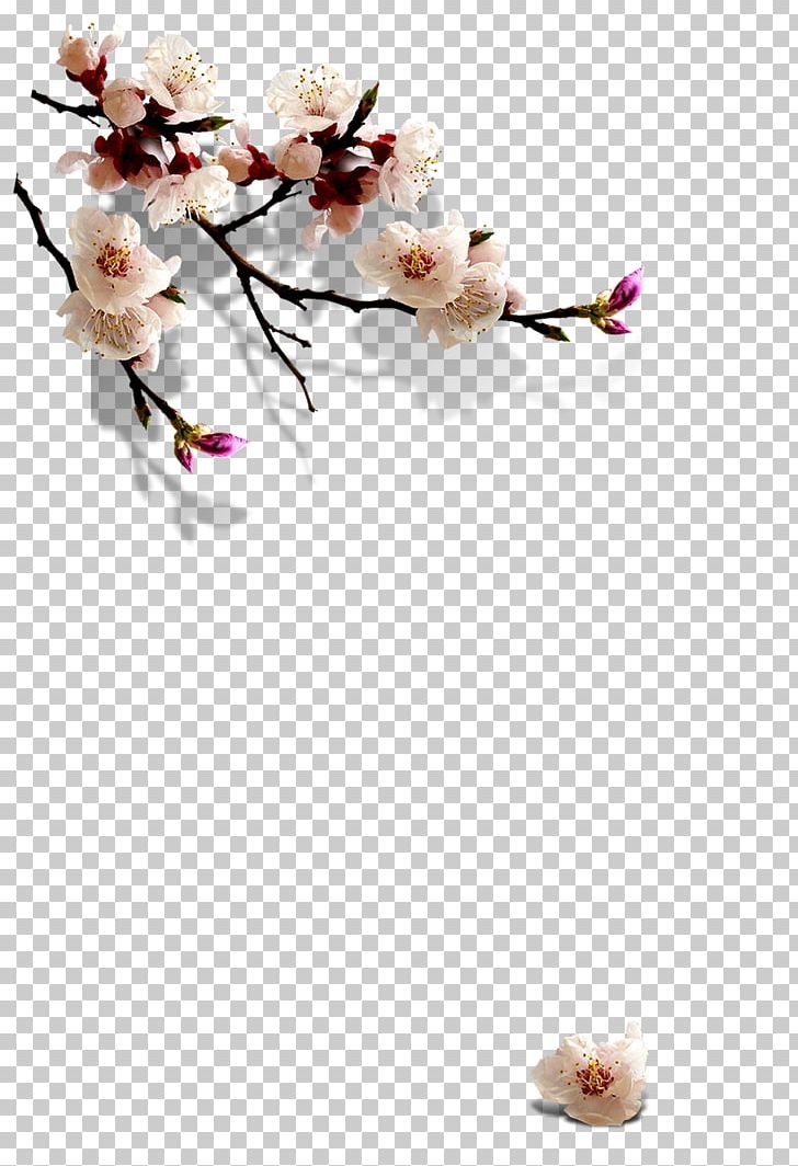 Exhibition Place China Lichun Chinese Zodiac Cherry Blossom PNG, Clipart, Artificial Flower, Blossom, Branch, Company, Computer Wallpaper Free PNG Download