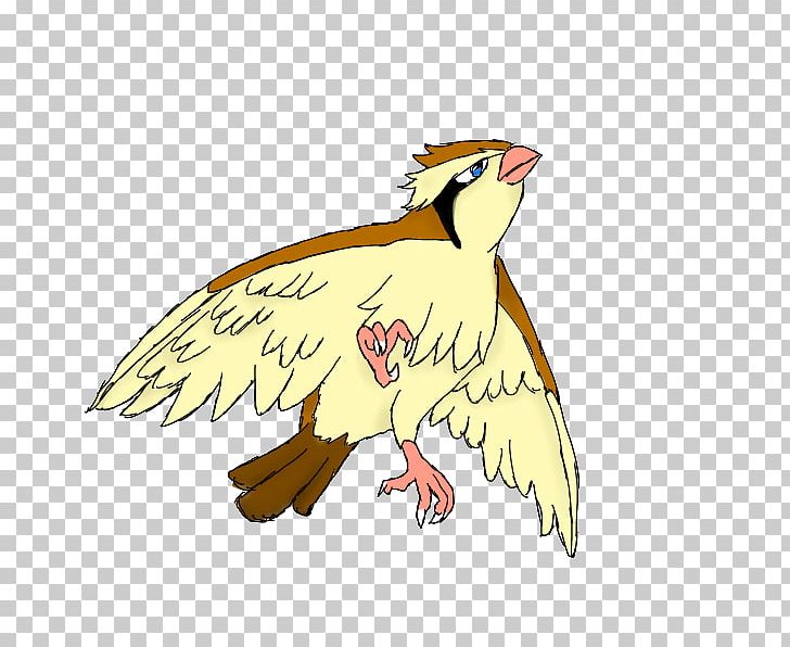 Pidgeotto Bird Pidgey Pokémon GO PNG, Clipart, Art, Artwork, Beak, Bird, Bird Of Prey Free PNG Download