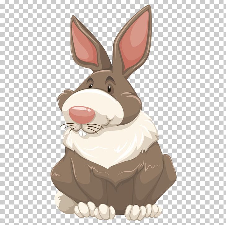 Rabbit Stock Photography PNG, Clipart, Animals, Bunnies, Bunny, Bunny Vector, Carrot Free PNG Download