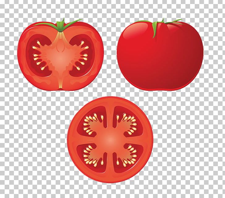 Tomato Soup PNG, Clipart, Biology, Botany, Can Stock Photo, Drawing, Encapsulated Postscript Free PNG Download