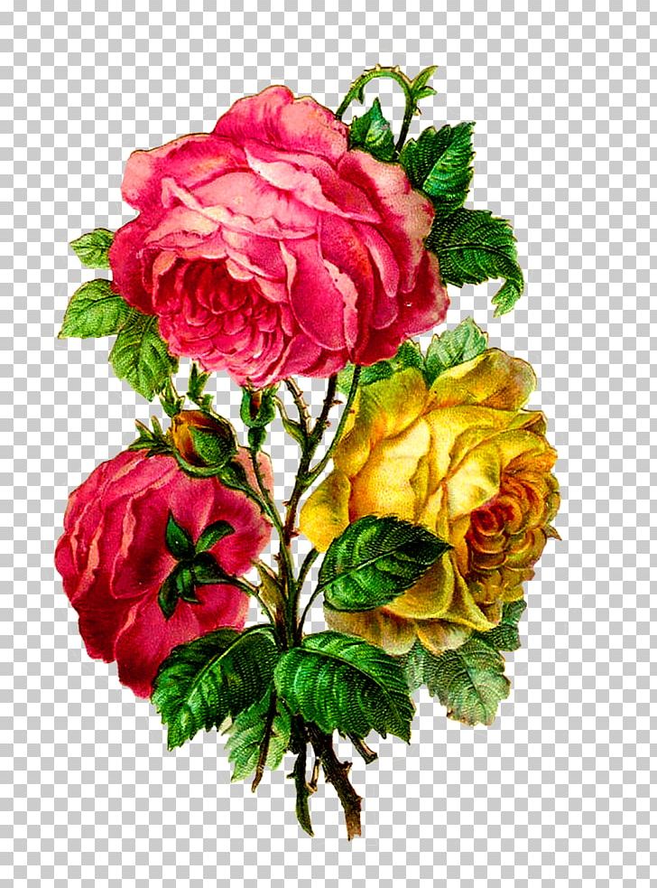 Centifolia Roses Paper Flower Bouquet Cut Flowers PNG, Clipart, Annual Plant, Artificial Flower, Begonia, Camellia, Carnation Free PNG Download