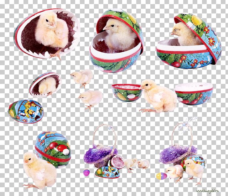 Easter Egg Easter Bunny PNG, Clipart, Desktop Wallpaper, Easter, Easter Bunny, Easter Egg, Holiday Free PNG Download