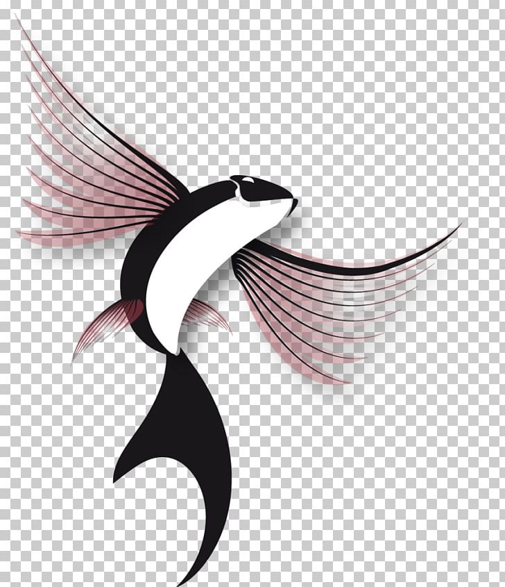 Flying Fish Flight Logo PNG, Clipart, Animals, Eyelash, Fish, Flight, Flying Fish Free PNG Download