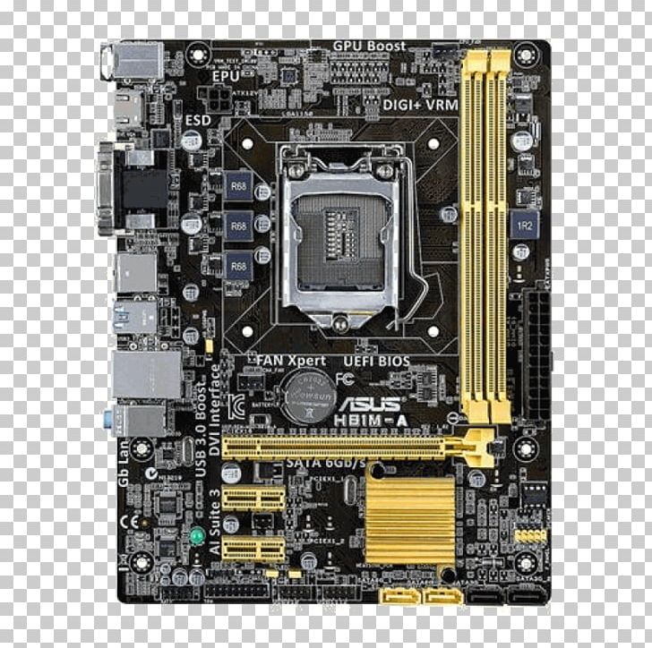 Intel LGA 1150 Motherboard ASUS MicroATX PNG, Clipart, Asus, Central Processing Unit, Computer, Computer Hardware, Electronic Device Free PNG Download