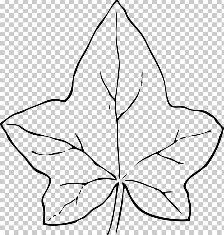 Leaf PNG, Clipart, Angle, Area, Artwork, Autumn Leaf Color, Black And White Free PNG Download
