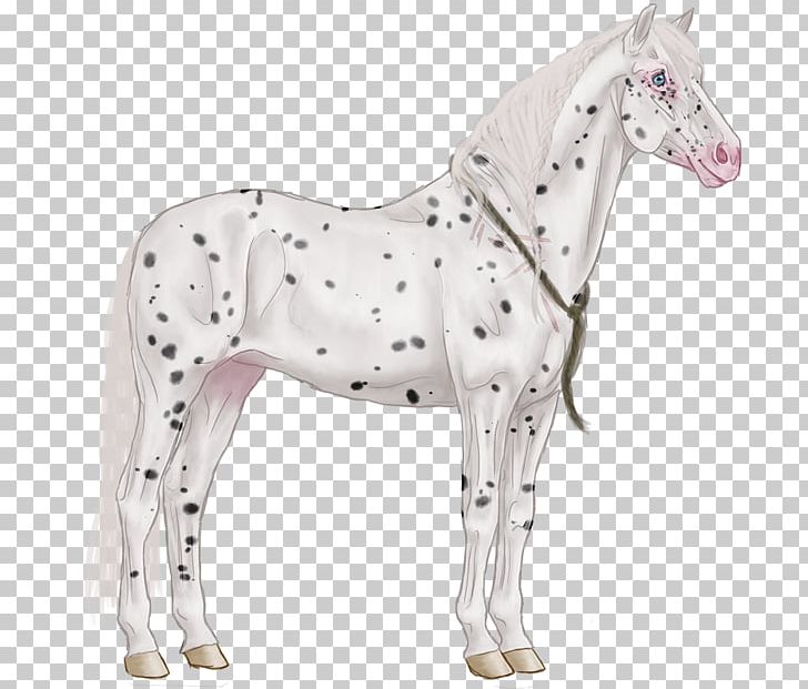 Pony Mustang Foal Stallion Mare PNG, Clipart, Animal Figure, Colt, Figurine, Foal, Halter Free PNG Download