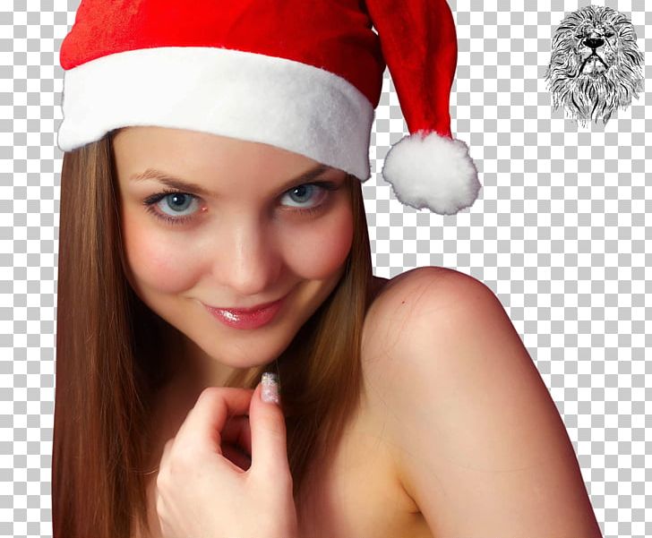 Santa Claus Christmas Ornament Headgear PNG, Clipart, Amelie, Beauty, Black Lion, Brown Hair, Christmas Free PNG Download