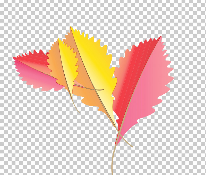 Leaf Computer Meter M Plants PNG, Clipart, Autumn Leaf, Biology, Cartoon Leaf, Computer, Fall Leaf Free PNG Download