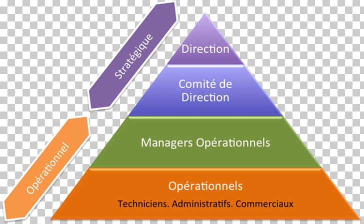 Management Stratégique Organization Natural Environment Orange S.A. PNG, Clipart, Brand, Diagram, Line, Management, Natural Environment Free PNG Download