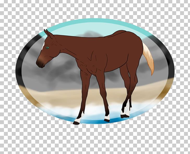 Mane Mustang Stallion Mare Pony PNG, Clipart, Bridle, Building Grow Logologoarrow, Cartoon, Colt, Colts Manufacturing Company Free PNG Download