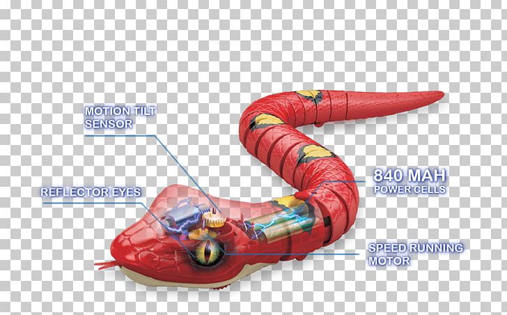 Snake Robotic Pet Robot-assisted Surgery Lizard PNG, Clipart, Animal, Animals, Coral Reef Snakes, Lizard, Organism Free PNG Download