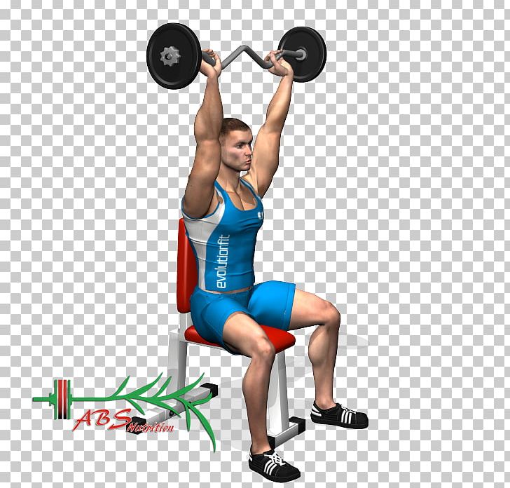 Weight Training Barbell Triceps Brachii Muscle Bodybuilding PNG, Clipart,  Free PNG Download