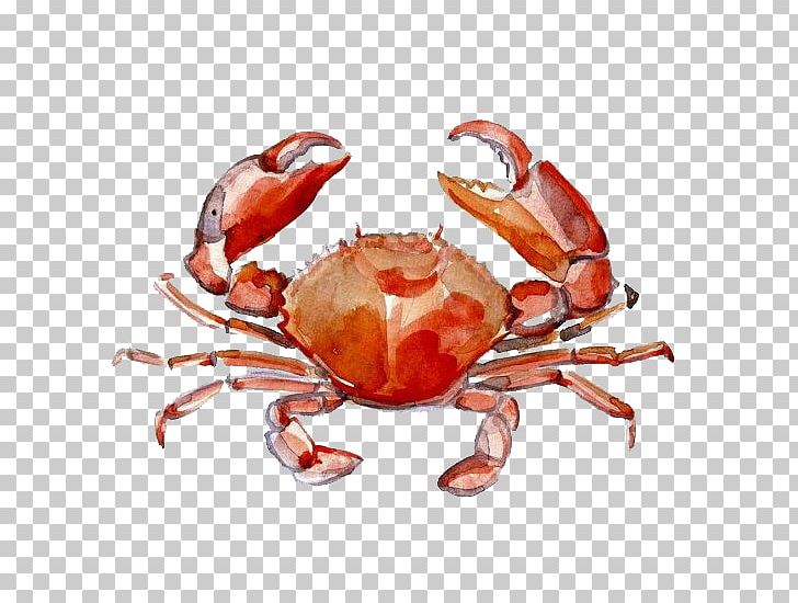 Crab Watercolor Painting Drawing PNG, Clipart, Animals, Animal Source Foods, Art, Crab Meat, Creative Design Free PNG Download