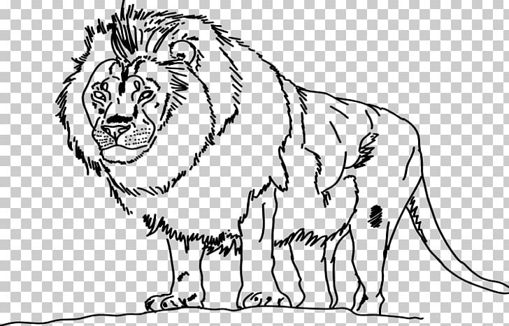 Lion Line Art Tiger Whiskers Drawing PNG, Clipart, Animals, Artwork, Big Cats, Black And White, Carnivoran Free PNG Download