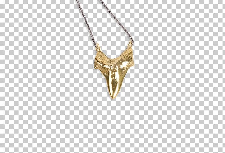 Necklace Shark Tooth Charms & Pendants Jewellery PNG, Clipart, Bracelet, Chain, Charms Pendants, Cross Necklace, Fashion Free PNG Download