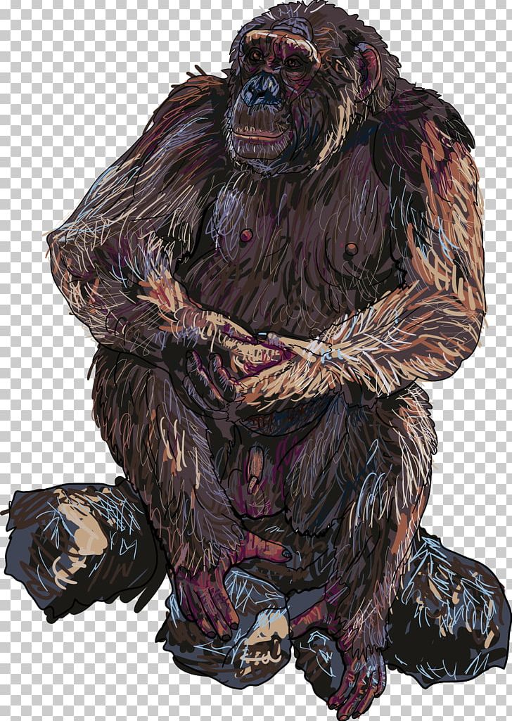 Orangutan Gorilla Animal PNG, Clipart, Animal, Animals, Art, Bear, Chimpanzee Free PNG Download